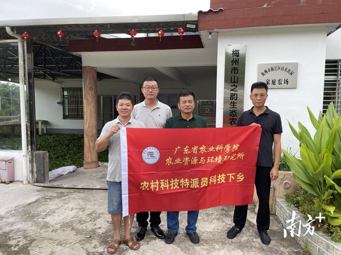 &hellip;省农村科技特派员助力梅州南药,茶叶产业发展