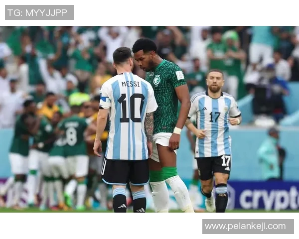 足球巨星齐聚哈尔滨 共襄盛举点燃冬季运动热情