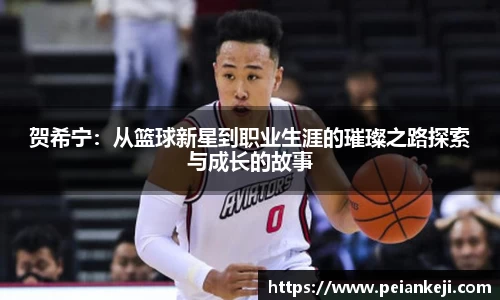 贺希宁：从篮球新星到职业生涯的璀璨之路探索与成长的故事